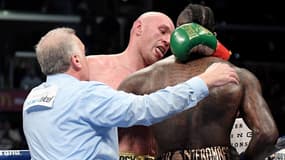 Fury et Wilder