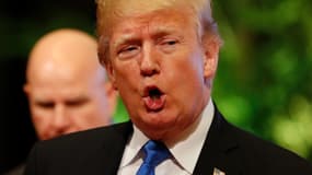 Donald Trump, le 14 novembre 2017. 
