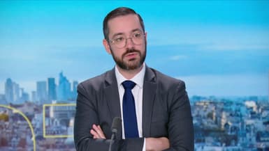 Usine Stellantis de Poissy à l'arrêt: "On pourrait baisser les dividendes aux actionnaires", propose David Guiraud (LFI) 