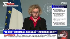 Muriel Pénicaud (ministre du Travail): "Nous ouvrirons le bénéfice du chômage partiel aux assistantes maternelles, aux employés à domicile, aux salariés au forfait jour et aux VRP"