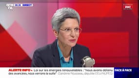 Sandrine Rousseau: "On aurait Fessenheim, ça n'aurait rien changé à notre problème aujourd'hui" 
