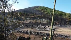 Incendie à Bormes-les-Mimosas : le camping Parc Valrose dévasté par les flammes - Témoins BFMTV