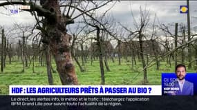 Hauts-de-France: les agriculteurs prêts à passer au bio après l'aide de la région