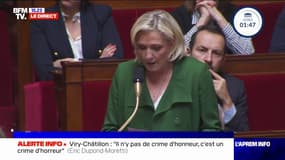 "Ce ne sont plus des faits divers mais des faits de sociétés": Marine Le Pen s'exprime après la mort de Shemseddine, passé à tabac à Viry-Châtillon