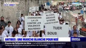 Antibes: plus de 1000 personnes réunies pour Noé, tué par un chauffard