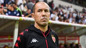 Jardim