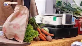 Région Sud, à votre service : 100% valeurs du sud