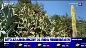 Rayol-Canadel-sur-Mer: au cœur du jardin méditerranéen
