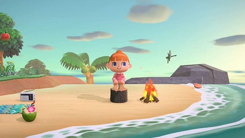 Le jeu de Nintendo Switch Animal Crossing New Horizons.