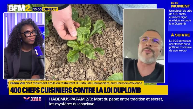 Glenn Viel, chef triplement étoilé, soutient la pétition contre la loi Duplomb