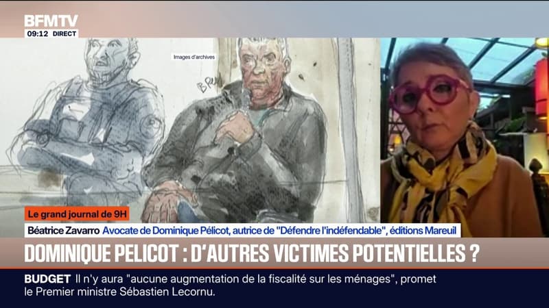 "Il est toujours dans une démarche de vérité": l'avocate de Dominique Pélicot revient sur les soupçons autour de son client d'^tre impliqué dans d'autres dossiers