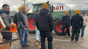 Les agriculteurs de la Coordination Rurale 04 ont bloqué un Auchan à Manosque ce lundi 25 novembre.