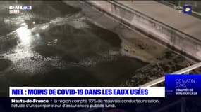 Covid-19: moins de traces du virus détectées dans les eaux usées de la métropole lilloise