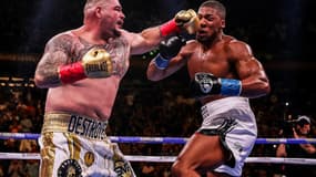 Andy Ruiz Jr a terrassé Anthony Joshua au Madison Square Garden