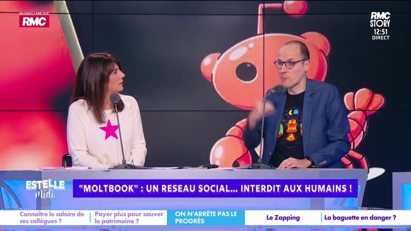 On n'arrête pas le progrès : "Moltbook", un reseau social... interdit aux humains ! - 03/02