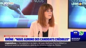 Législatives anticipées: vers une "grande alliance patriote"?