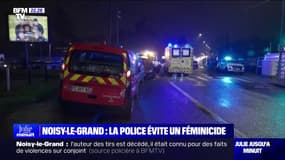 Noisy-le-Grand: un homme tué par la police après avoir tiré en direction des forces de l'ordre intervenues à la suite du déclenchement du téléphone "très grand danger" de son ex-compagne