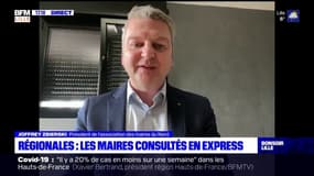 Le président de l'association des maires du Nord dénonce une "précipitation" de l'exécutif