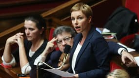 Clémentine Autain le 24 janvier 2018 à l'Assemblée nationale.