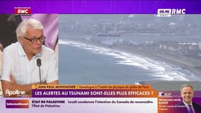Séismes et tsunamis: "Ça peut arriver sur la côte méditerranéenne", dit Jean-Paul Montagner, sismologue à l’institut de physique du globe de Paris
