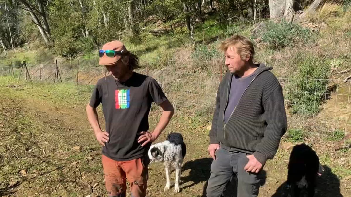placeholder video