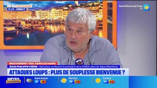Mouvement des agriculteurs - Attaques loups : plus de souplesse bienvenue ? 