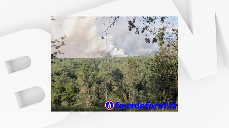 DIRECT. Feux de forêt: l'incendie en Ille-et-Vilaine a parcouru 100 hectares, le feu progresse vers l'Ouest
