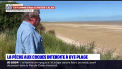 La pêche aux coques interdite à Oye-Plage