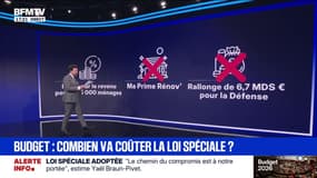 LES ÉCLAIREURS - Budget: combien va coûter la loi spéciale adoptée à l'Assemblée?