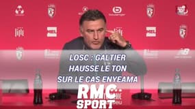LOSC : Galtier hausse le ton sur le cas Enyeama