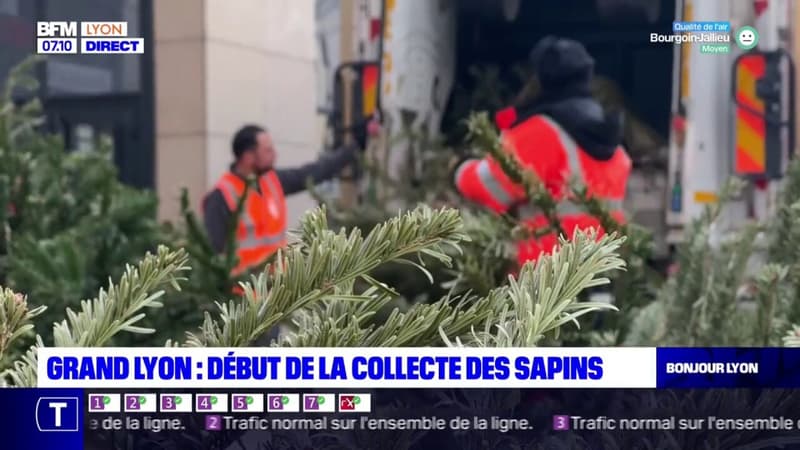 Lyon: début de la collecte des sapins de Noël