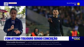 OM: toujours dans l'attente de l'annonce officielle du successeur de Jean-Louis Gasset