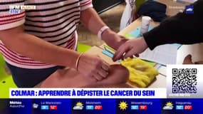 Haut-Rhin: un atelier pour apprendre à dépister le cancer du sein à Colmar