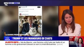 Donald Trump et les mangeurs de chats - 11/09