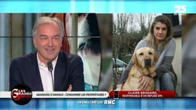 #SPA @Olivier_Truchot et ses problèmes de chat : "Je passe ma vie à changer la litière !" 
