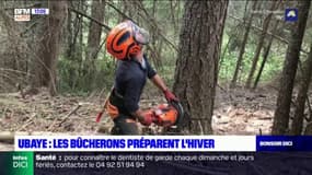 Ubaye: les bûcherons préparent l'hiver