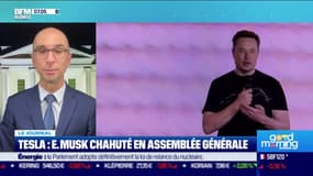 Elon Musk chahuté lors de l'AG de Tesla