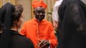 Le cardinal guinéen Robert Sarah, le 20 novembre 2010 au Vatican