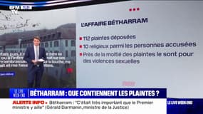 LES ÉCLAIREURS - Affaire Bétharram: ce que contiennent les 112 plaintes