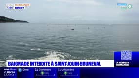 Seine-Maritime: la baignade interdite à Saint-Jouin-Bruneval 