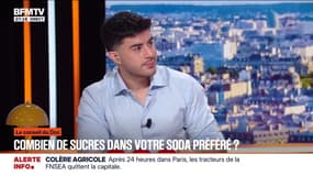 LE CONSEIL DU DOC - Combien de sucres en morceau y a-t-il dans vos boissons préférées?