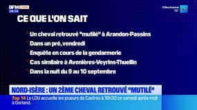 Nord-Isère: un deuxième cheval retrouvé "mutilé"