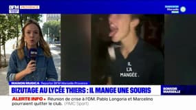 Marseille: un étudiant mâche une souris jusqu'à la tuer, 30 Millions d'Amis porte plainte