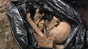 Des ossements de Poilus ont été découverts en forêt dans la Meuse.