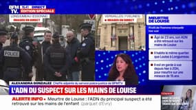 Meurtre de Louise: la garde à vue d'Owen L. prolongée, après la découverte de son ADN sur les mains de la victime