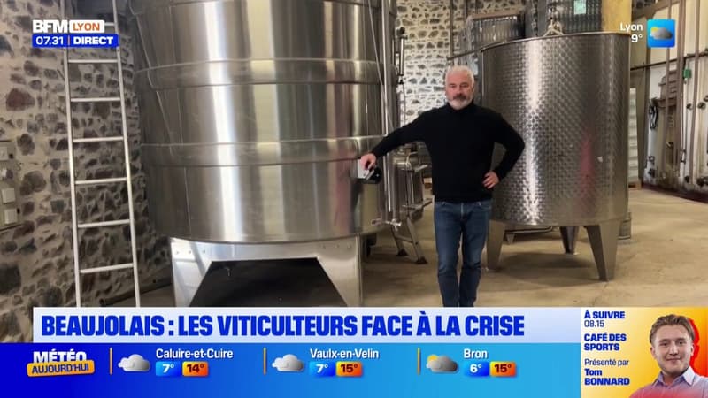 Beaujolais : les viticulteurs face à la crise