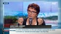 Mise en place d'un relèvement de prix les plus bas, "marqueur de la première année Macron sur le sujet agricole" pour Christiane Lambert (FNSEA)