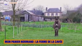 Mon panier normand : la Ferme de la Cavée