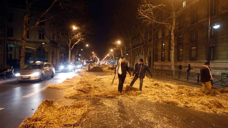 Des manifestants ont déversé de la paille et de la terre devant l'entrée du ministère de l'Environnement à Paris pour protester contre la politique agricole du gouvernement. /Photo prise le 3 février 2012/REUTERS/Jacky Naegelen