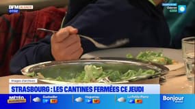 Strasbourg: les agents publics en grève, les cantines des écoles fermées